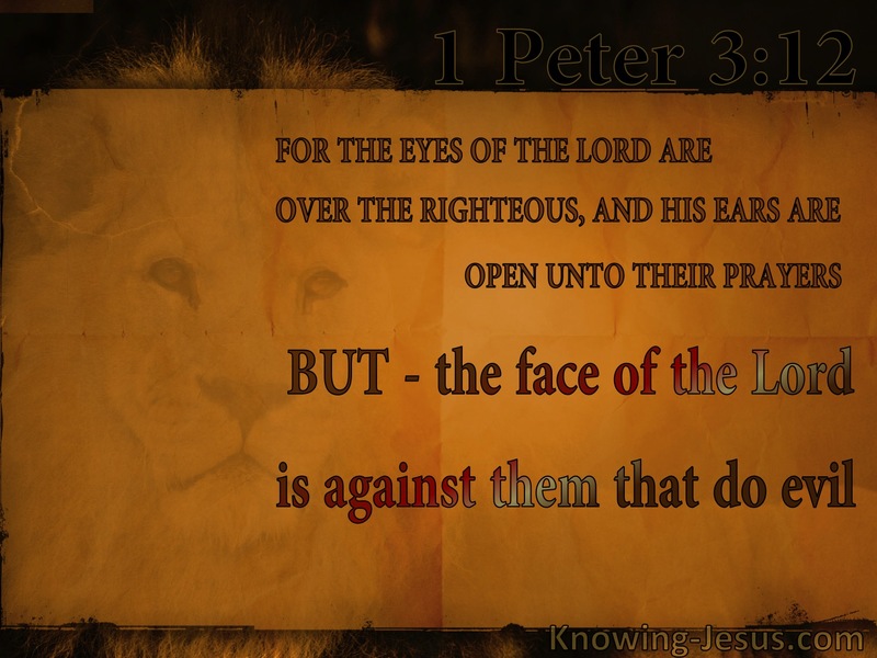 1 Peter 3:12 The Eyes Of The Lord On The Righteous (orange)